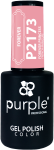 Esmalte Semipermanente FOREVER PRINCESS - Rosa Francesa P2173 10ml 930P2173